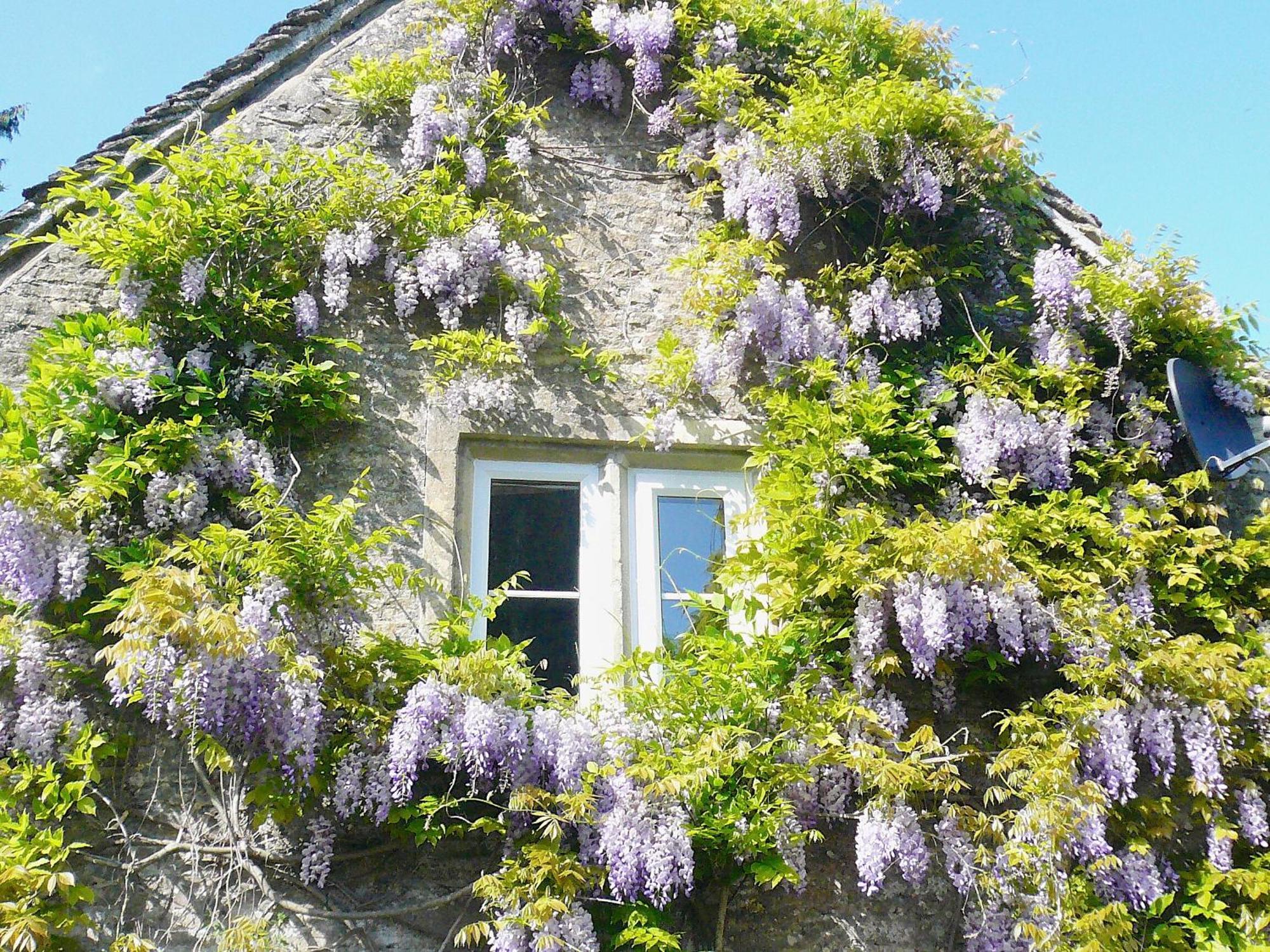 Ivy Cottage Chedworth Esterno foto